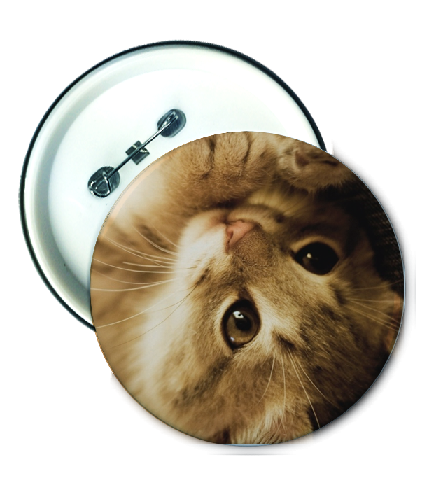 เข็มกลัด พิมพ์ภาพ Cute cat Badge